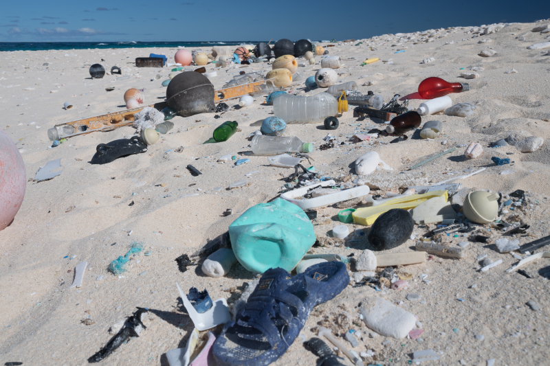 Marine Debris Removal Mission Begins In The Papahānaumokuākea Marine ...